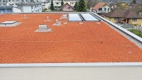 Flachdach Luterbach